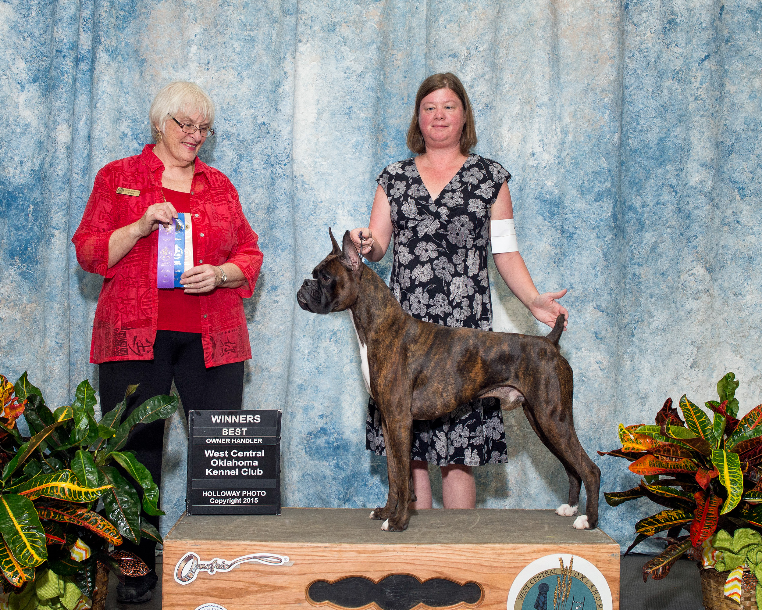 Duke - TuRo's Duke of Hazard
Winners Dog and BOBOH
West Central Oklahoma Kennel Club , August 28, 2015