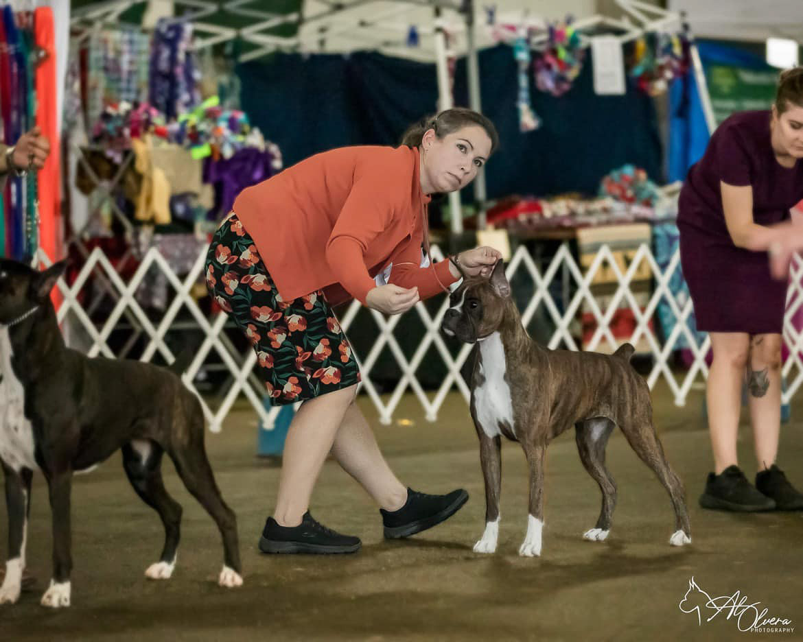 Sable - Quinney's Who's That Girl At Fallbrook with Celena Quinney