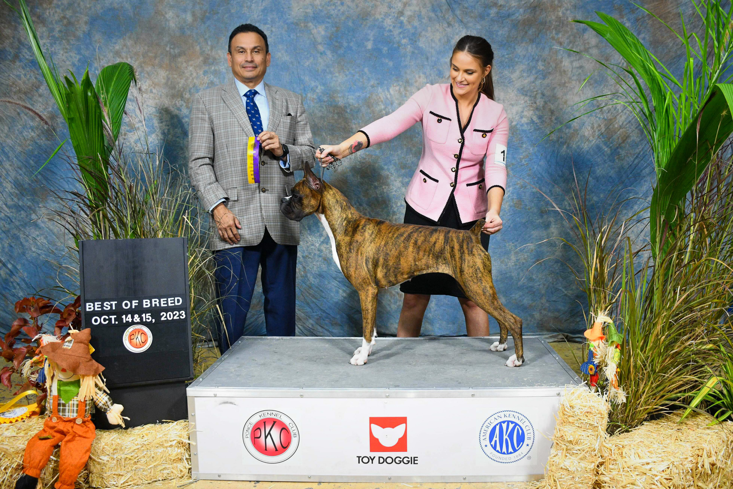 Sable - Quinney's Who's That Girl At Fallbrook - Best of Breed October 2023 , Judge Jamie Gonzalez Suvillaga