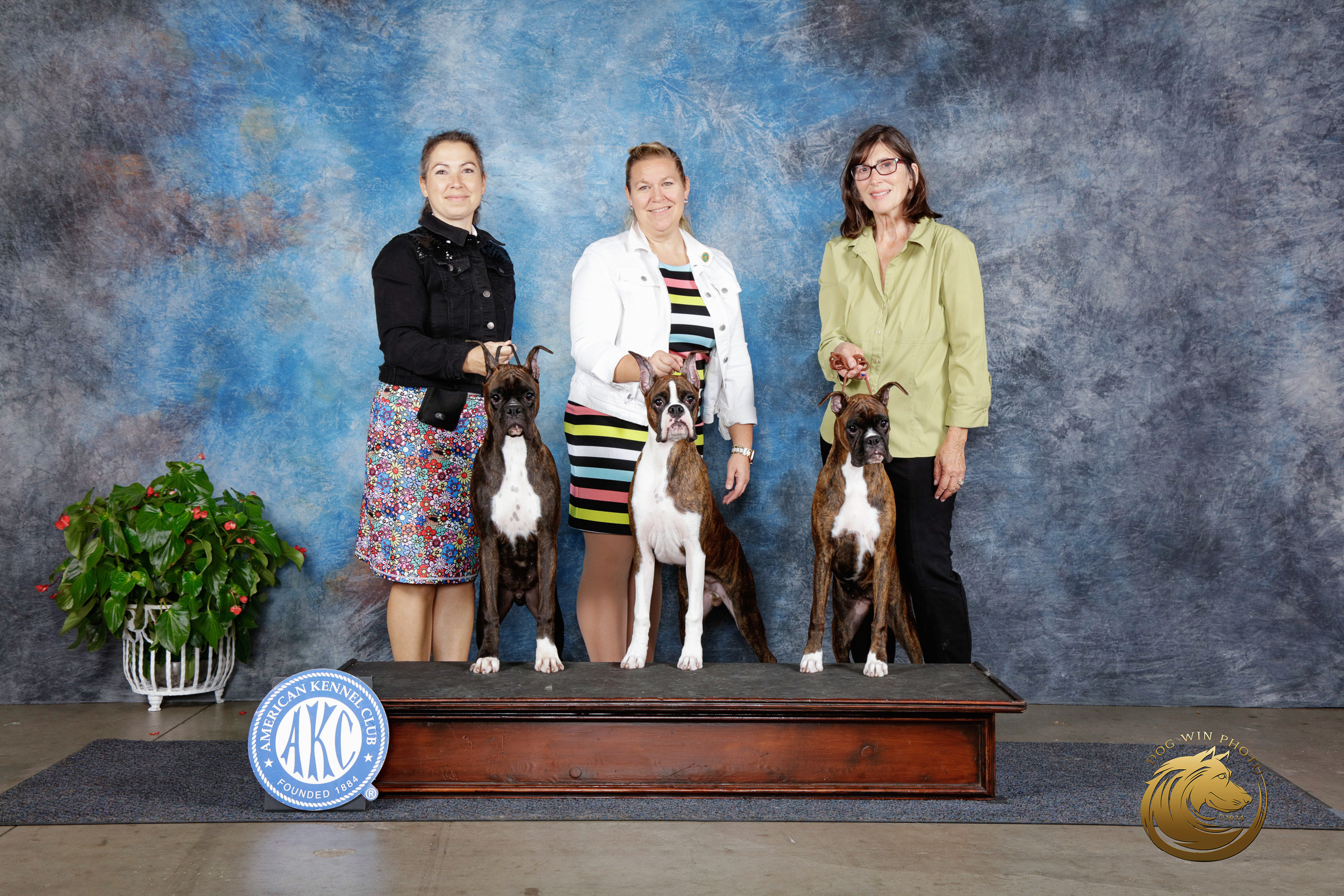 (L to R) Darth Fallbrook N Quinney's I Am Your Father, Chase - Fallbrook's Chasing Clouds, Sage - Fallbrook N Vincenza's On Cloud Nine - Beginner Puppy - San Antonio