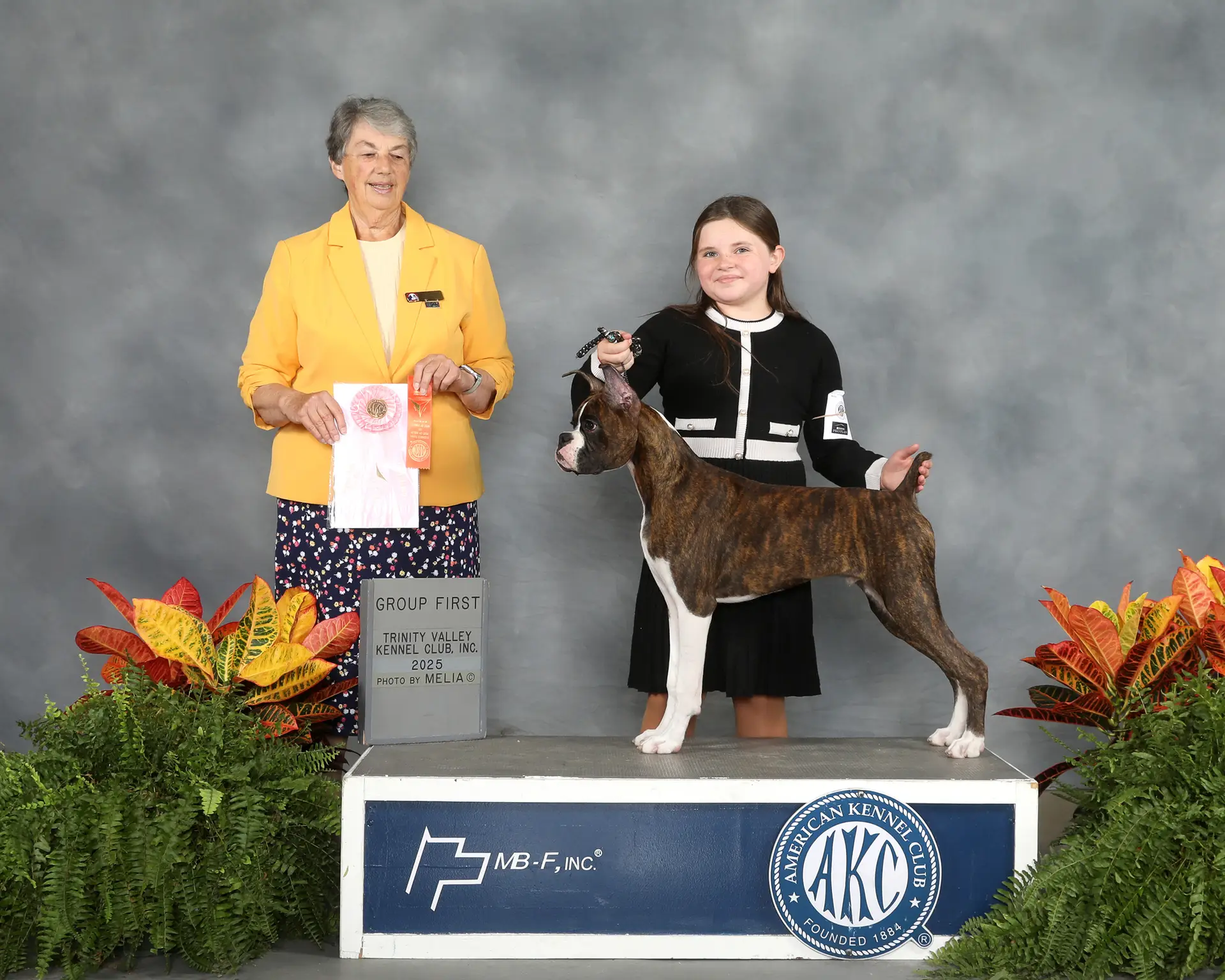 Chase - Fallbrook's Chasing Clouds - Beginner Puppy Working Group 1 - Trinity Valley Kennel Club