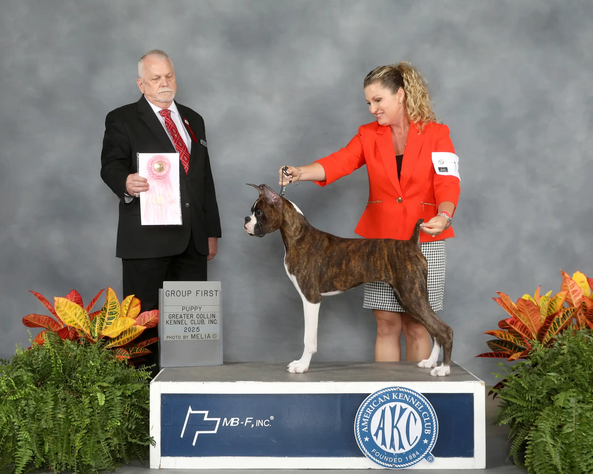 Chase - Fallbrook's Chasing Clouds - Beginner Puppy Working Group 1 with Audrea Harris - Greater Collin Kennel Club 