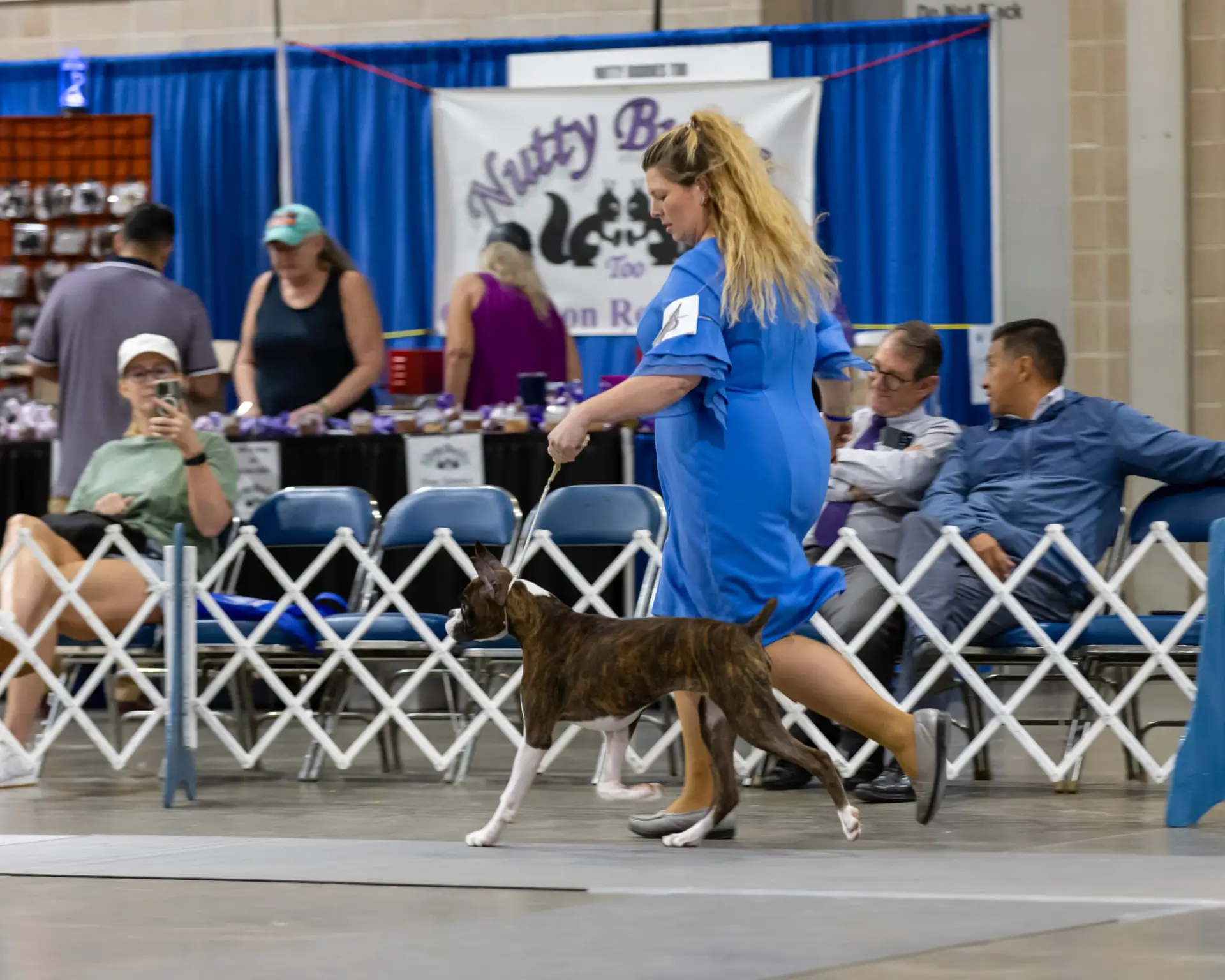Chase - Fallbrook's Chasing Clouds - 6 Months and 4 Days Old with Dylan Kipp Keith at Houston Kennel Club 
