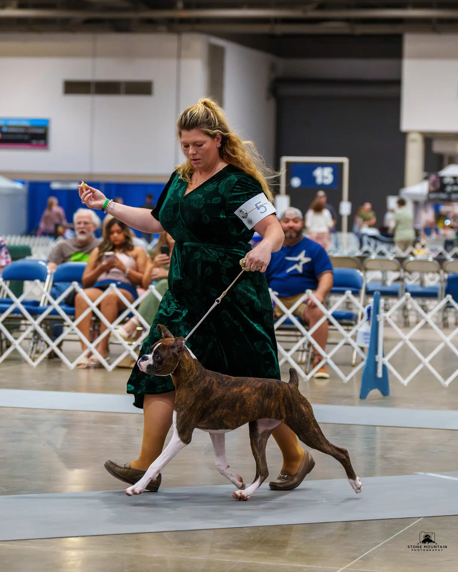 Chase - Fallbrook's Chasing Clouds - Beaumont Kennel Club with Dylan Kipp Keith