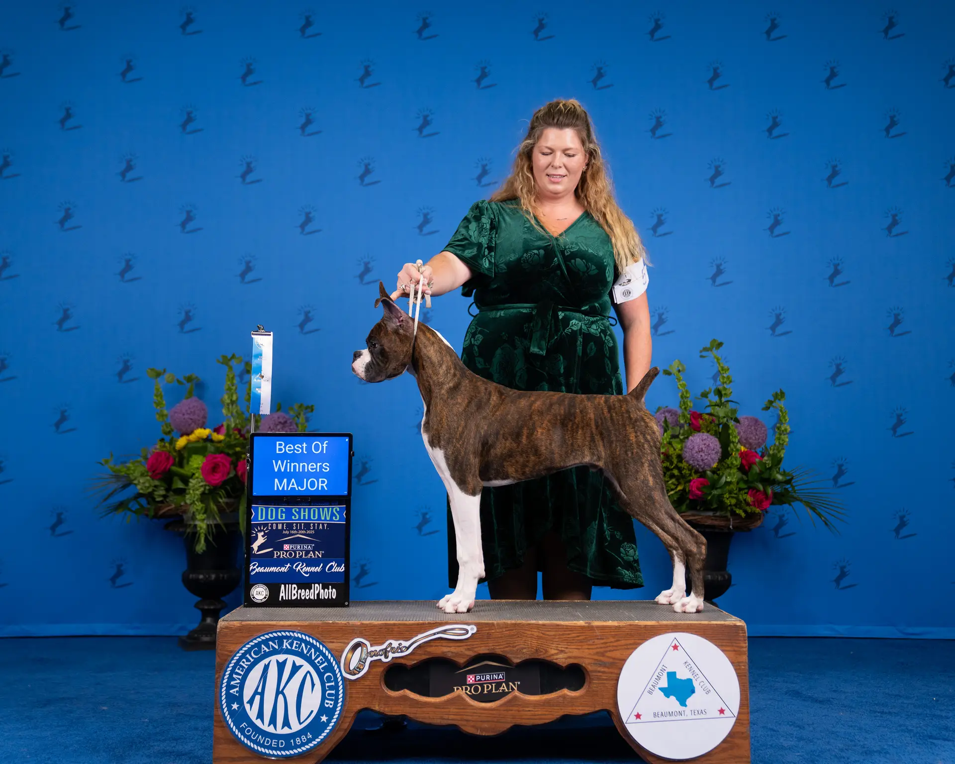Chase - Fallbrook's Chasing Clouds - Beaumont Kennel Club - Best Of Winners Major 6 Months and 6 Days Old