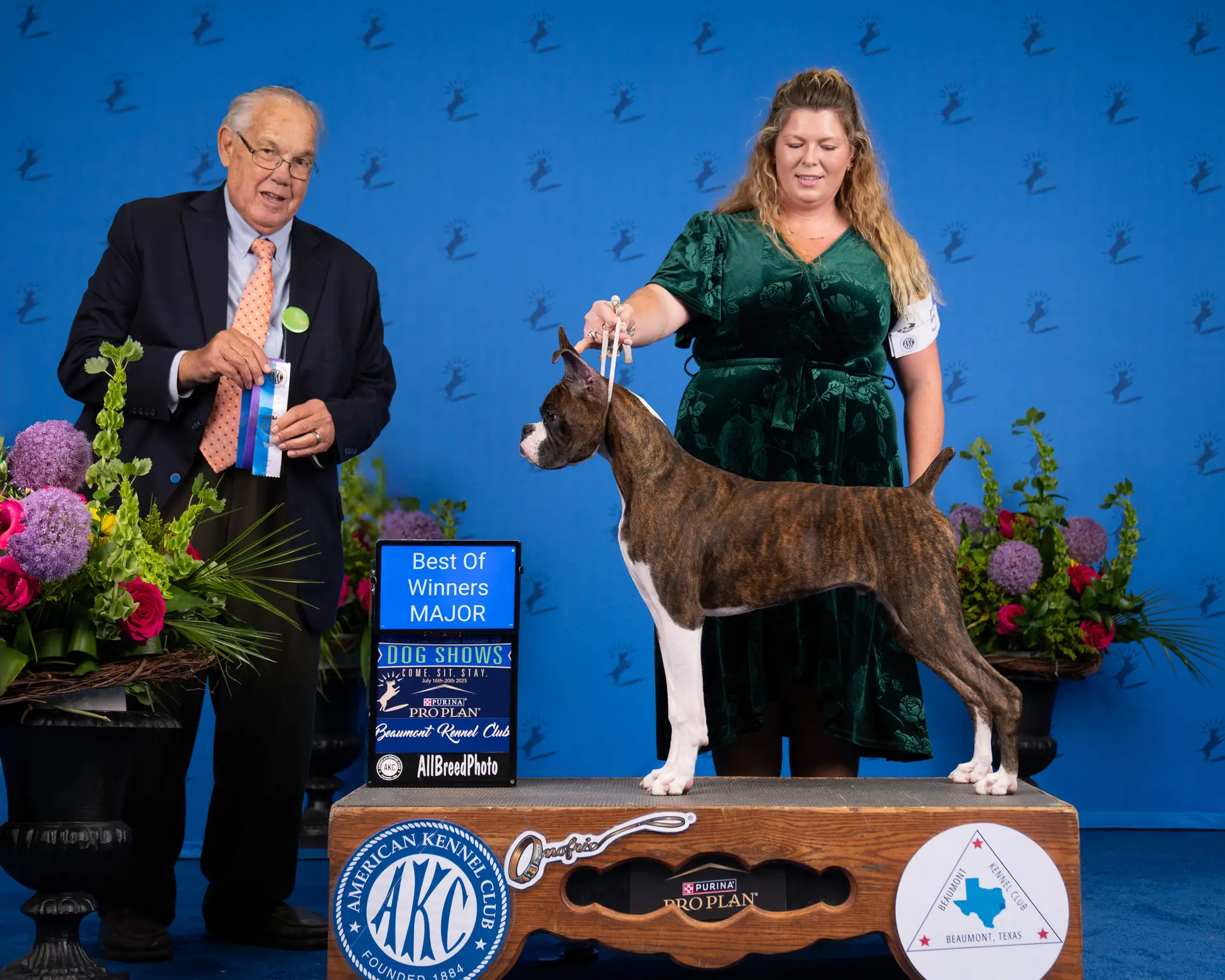 Chase - Fallbrook's Chasing Clouds - Beaumont Kennel Club - Best Of Winners Major 6 Months and 6 Days Old