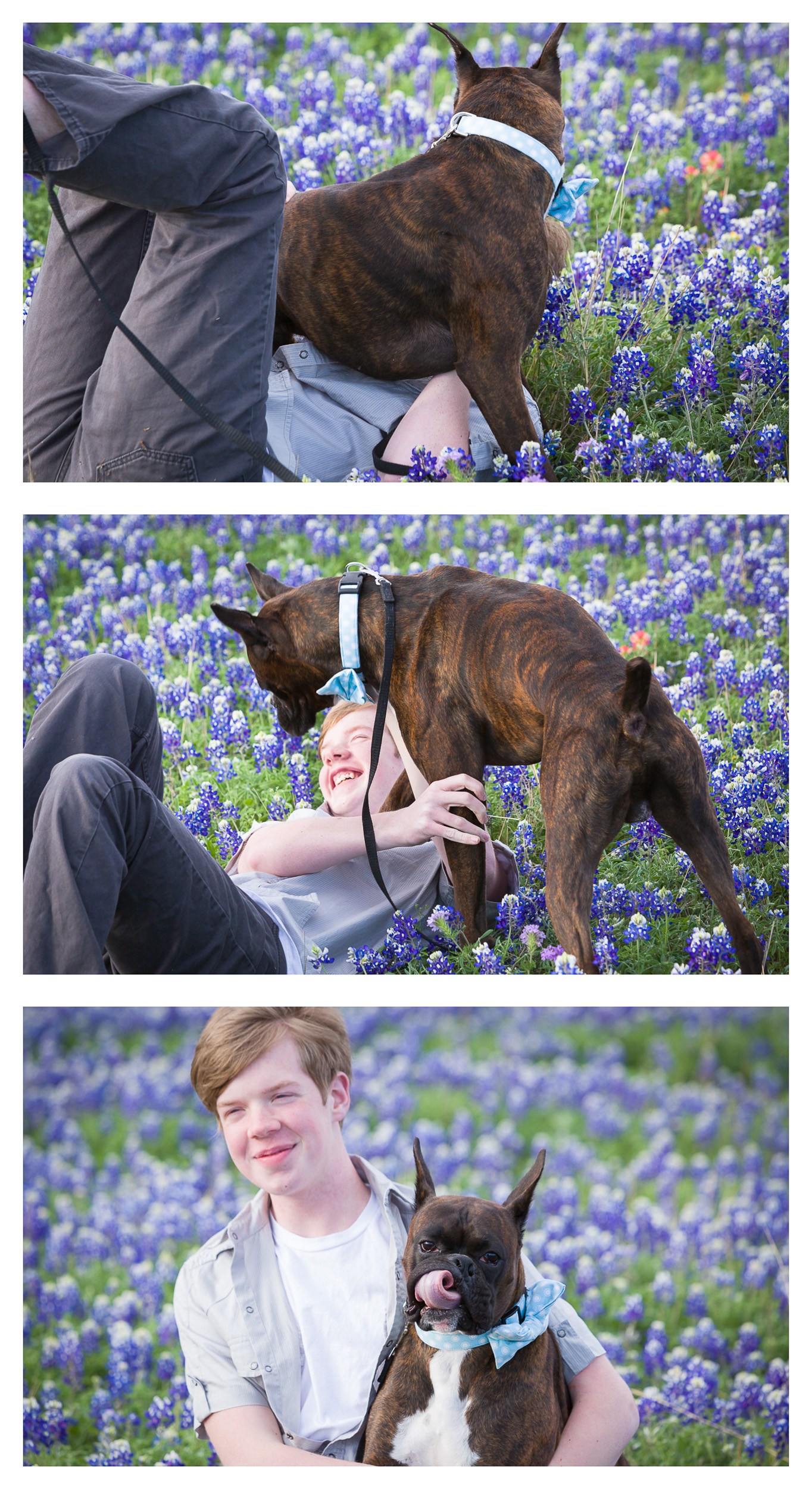 Duke - TuRo's Duke of Hazard with Ethan in the bluebonnets