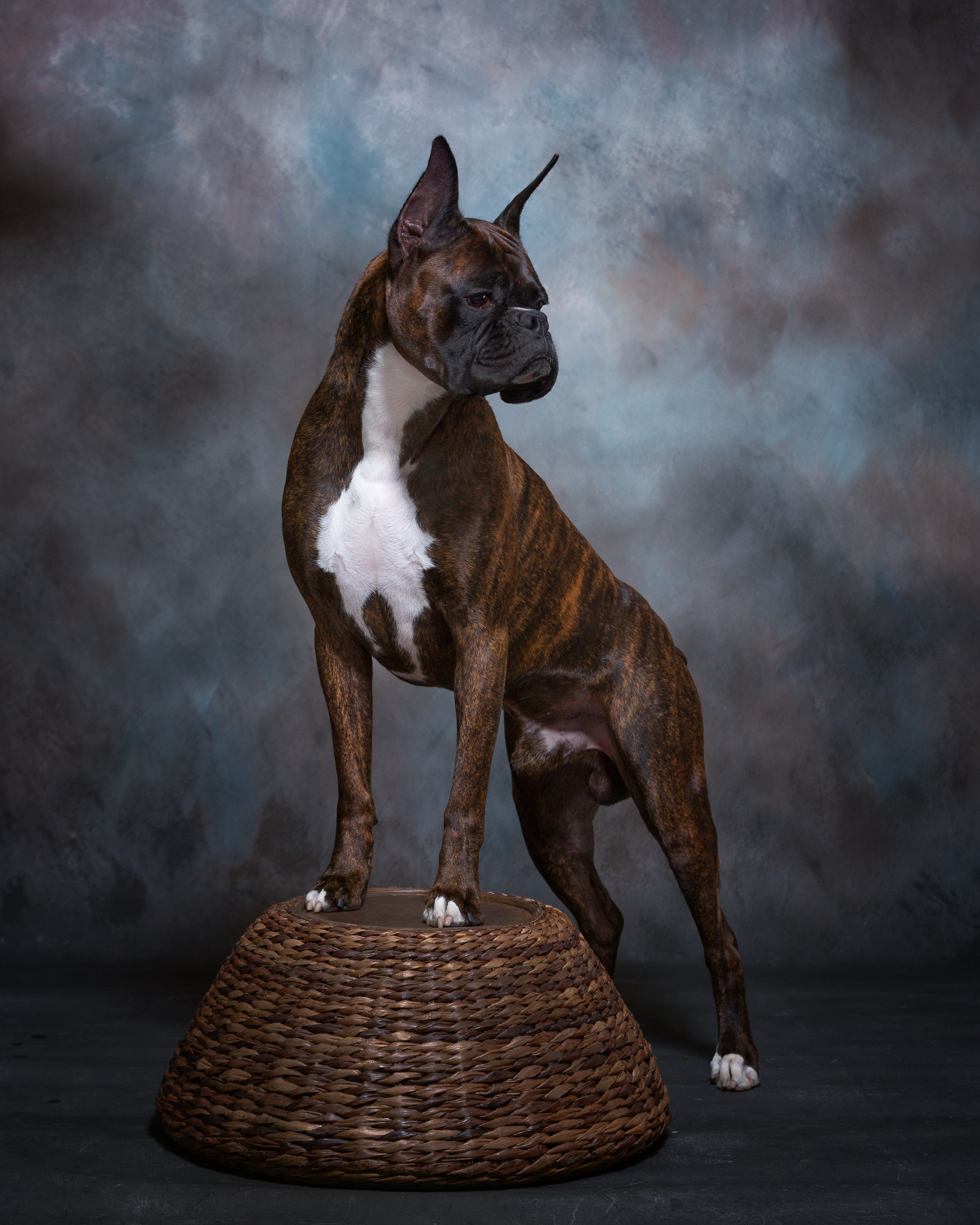 Duke - TuRo's Duke of Hazard 