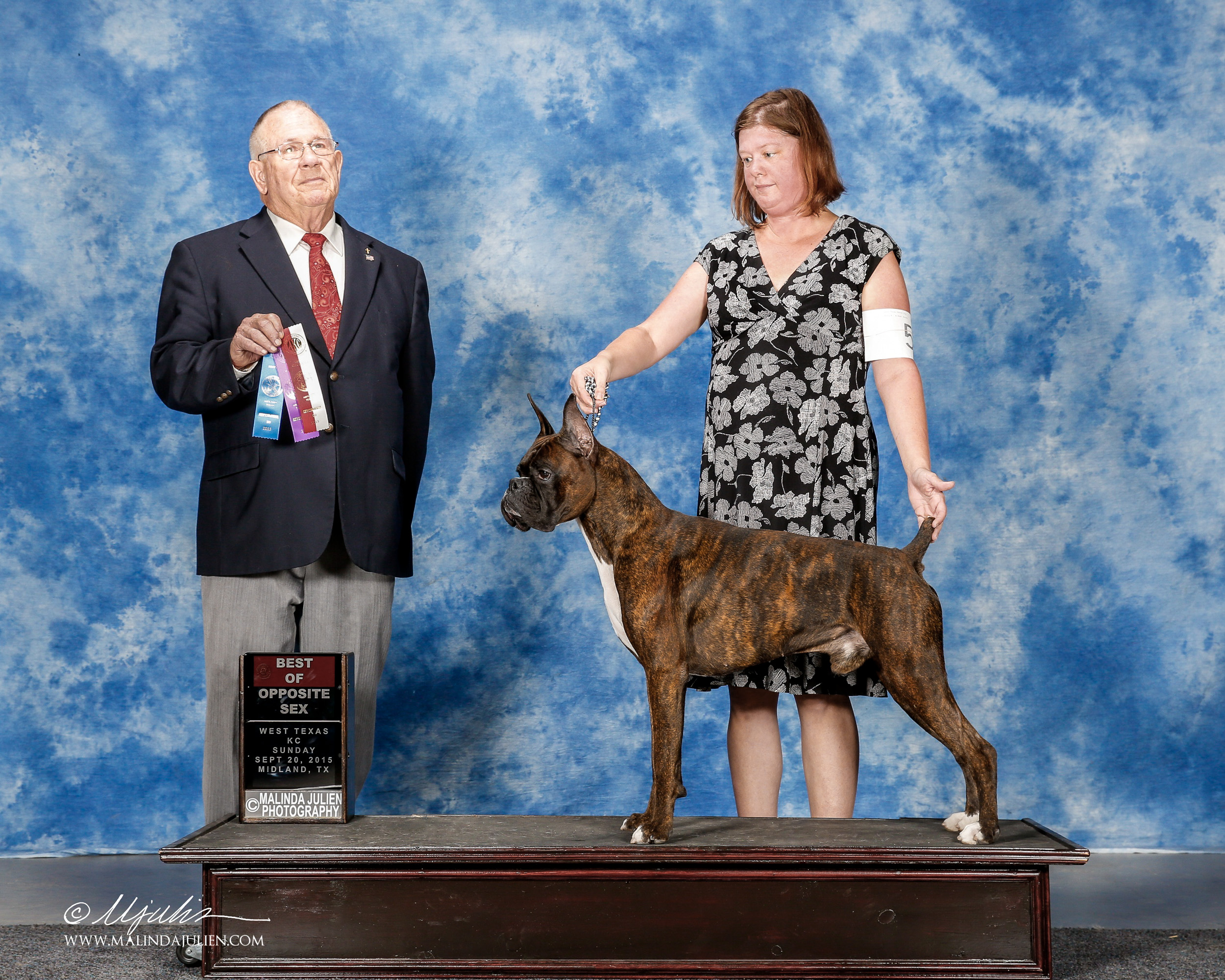 Duke - TuRo's Duke of Hazard 
Winners Dog
West Texas Kennel Club , September 20, 2015
Judge Dr. Donald A. Gill