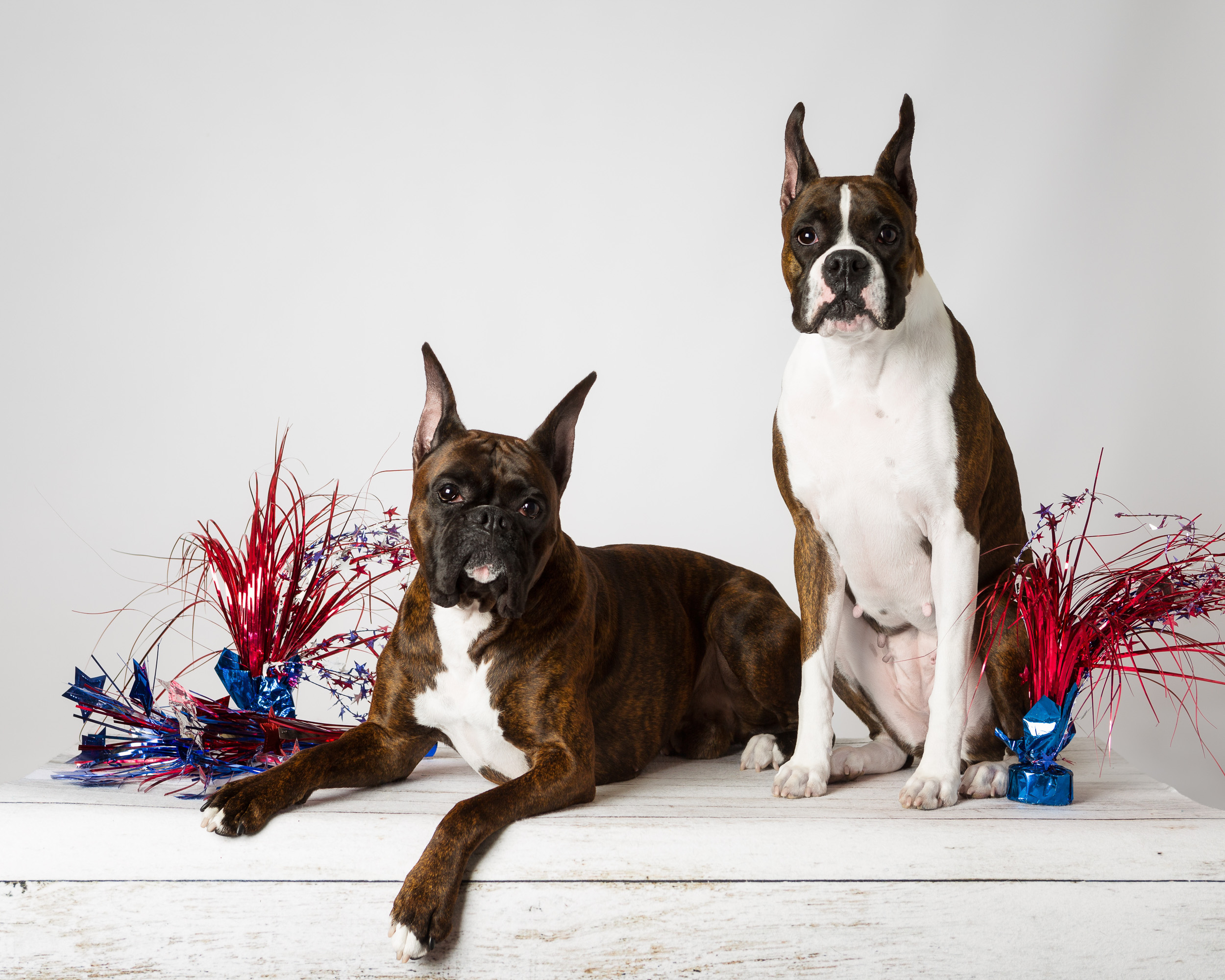 Duke & Skye - TuRo's Duke Of Hazard and TuRo's Sky Rocket 