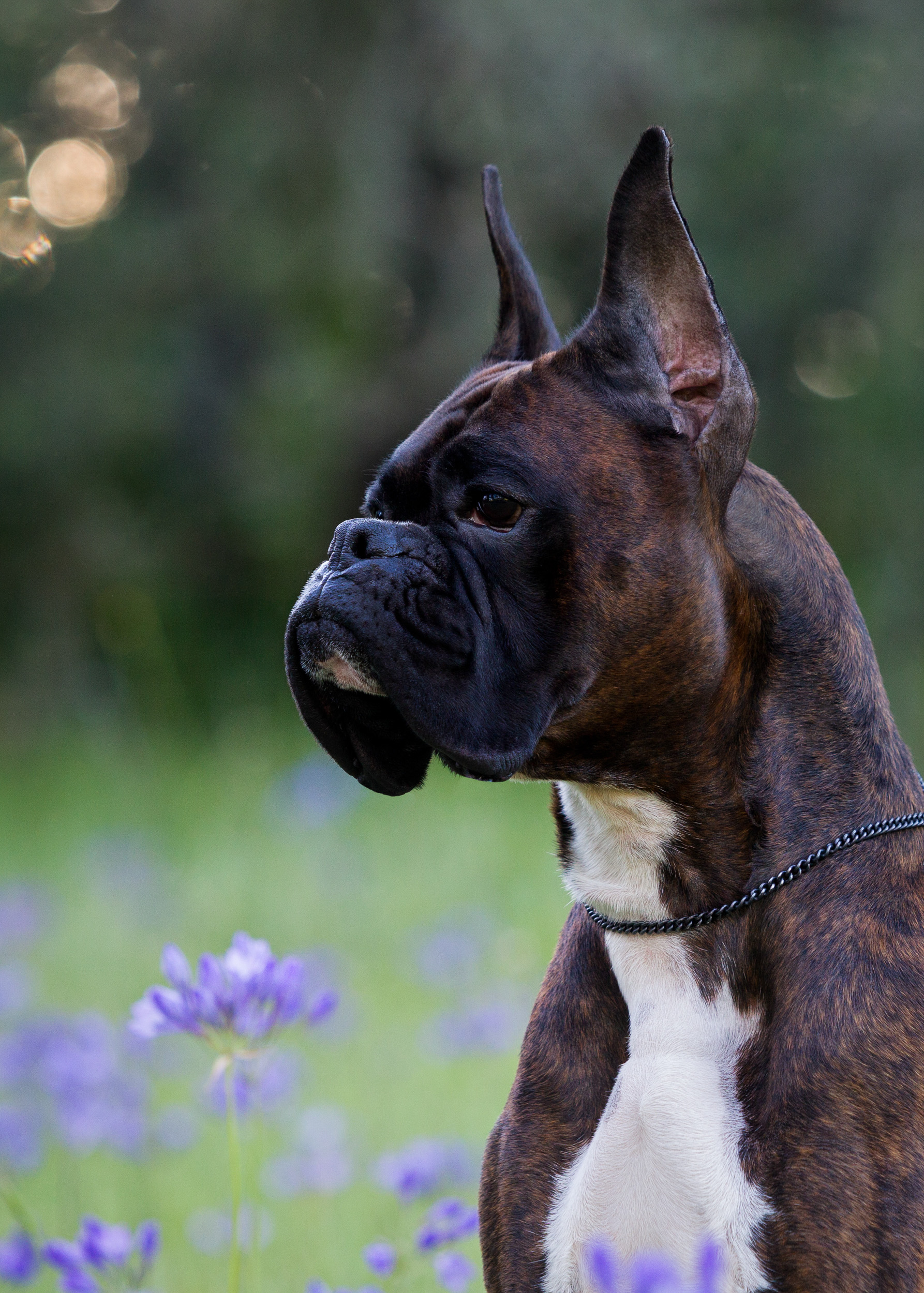 Duke - TuRo's Duke of Hazard