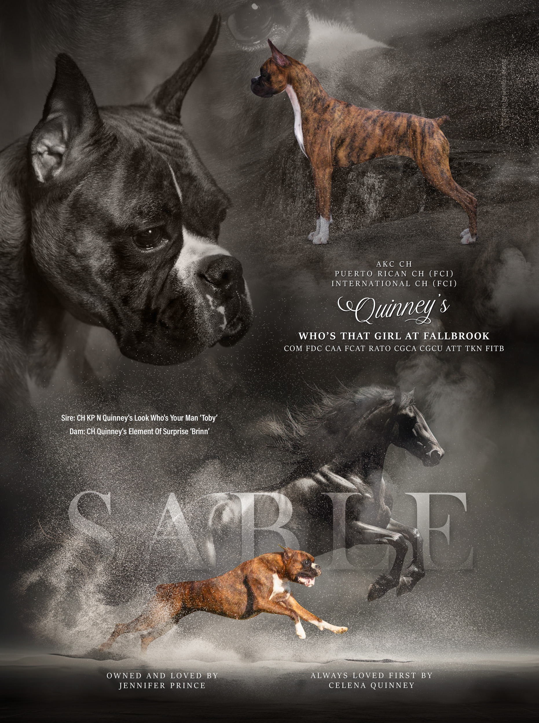 Sable - Quinney's Who's That Girl At Fallbrook  - ABC 2024 Catalog Ad
